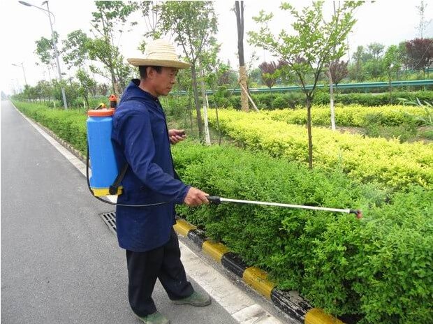 綠化維護(hù)